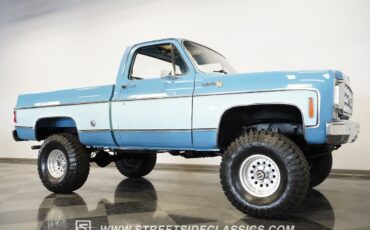Chevrolet-Other-Pickups-1977-Pickup-Truck-20