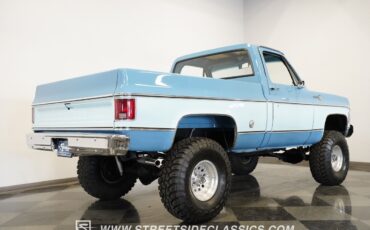 Chevrolet-Other-Pickups-1977-Pickup-Truck-22