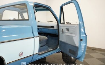 Chevrolet-Other-Pickups-1977-Pickup-Truck-23