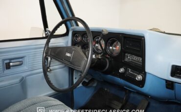 Chevrolet-Other-Pickups-1977-Pickup-Truck-27