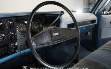 Chevrolet-Other-Pickups-1977-Pickup-Truck-35