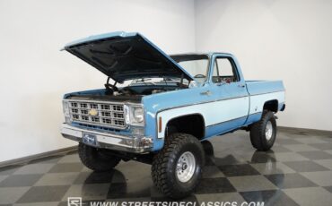 Chevrolet-Other-Pickups-1977-Pickup-Truck-38