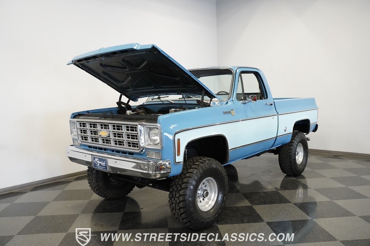 Chevrolet-Other-Pickups-1977-Pickup-Truck-38
