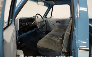 Chevrolet-Other-Pickups-1977-Pickup-Truck-4