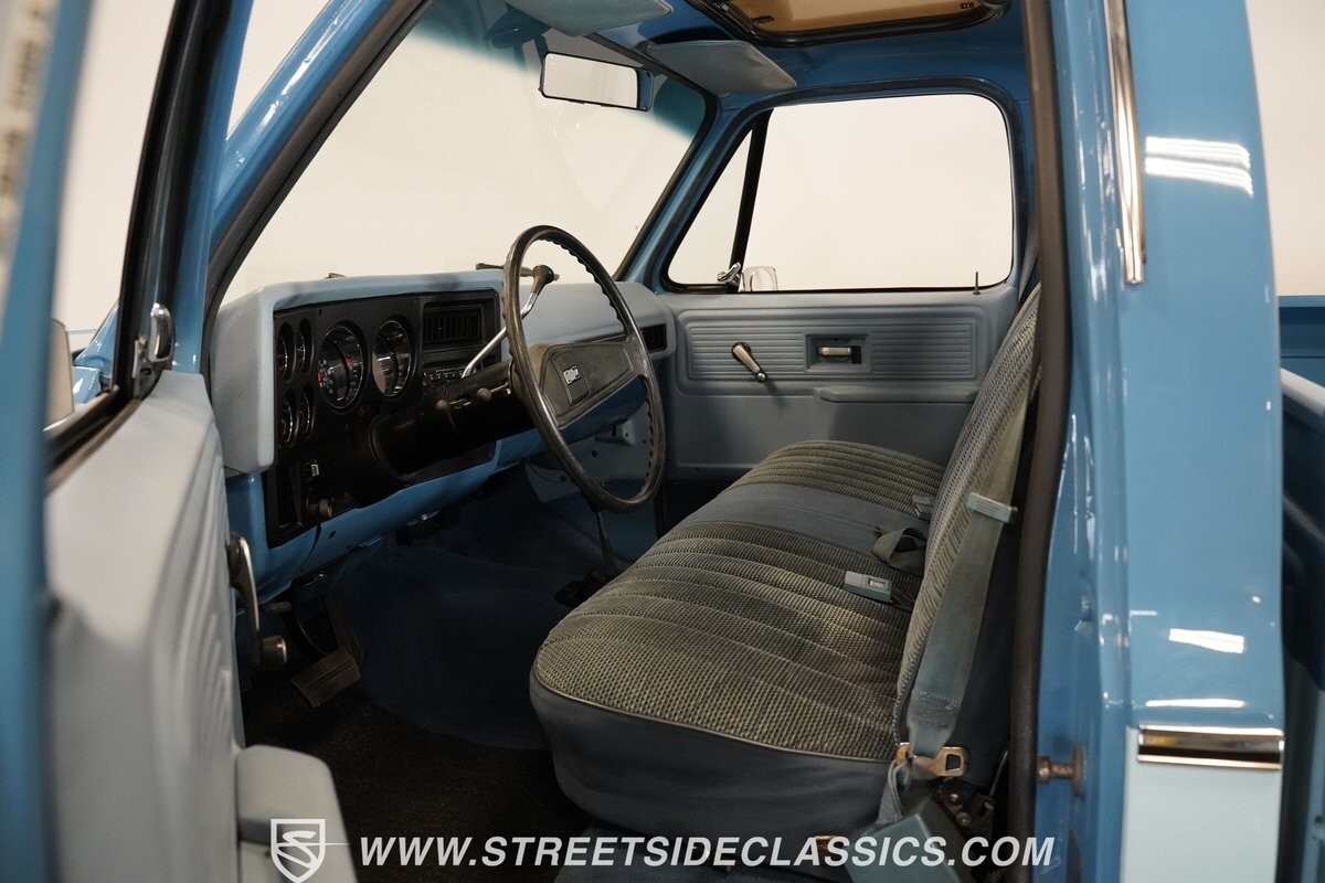 Chevrolet-Other-Pickups-1977-Pickup-Truck-4
