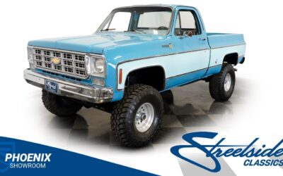 Chevrolet Other Pickups 1977 Pickup Truck