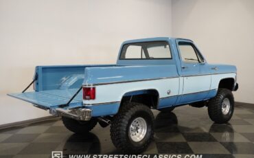 Chevrolet-Other-Pickups-1977-Pickup-Truck-5
