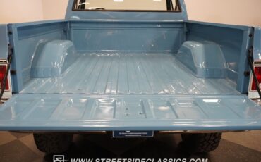 Chevrolet-Other-Pickups-1977-Pickup-Truck-6