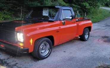 Chevrolet-Other-Pickups-1978-Standard-Cab-Pickup-2
