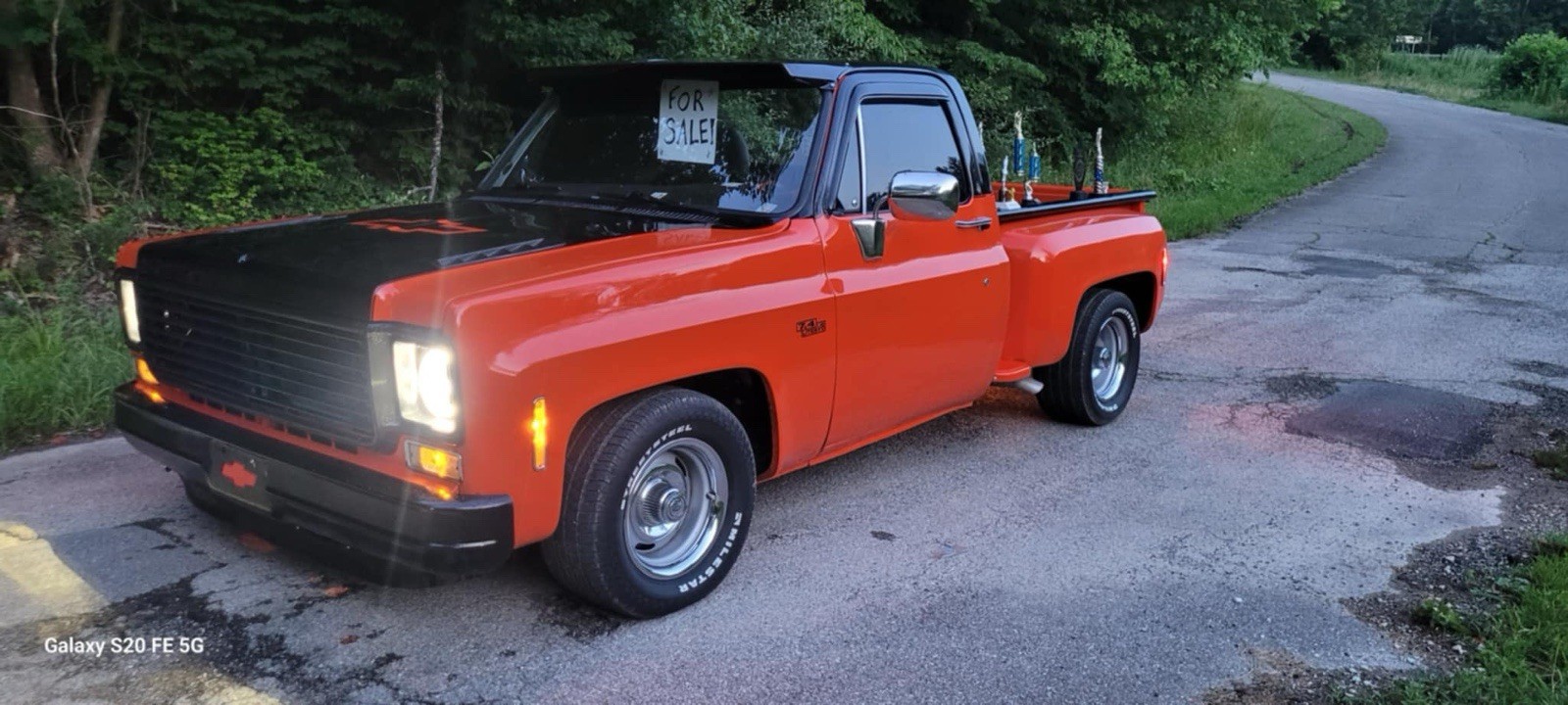 Chevrolet-Other-Pickups-1978-Standard-Cab-Pickup-2