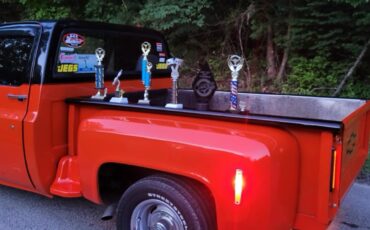 Chevrolet-Other-Pickups-1978-Standard-Cab-Pickup-3