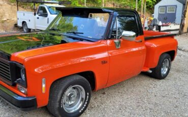 Chevrolet-Other-Pickups-1978-Standard-Cab-Pickup