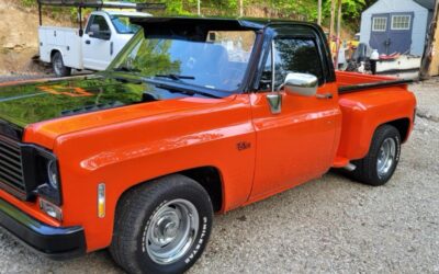 Chevrolet Other Pickups 1978 Standard Cab Pickup