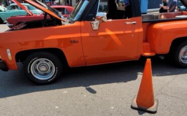 Chevrolet-Other-Pickups-1978-Standard-Cab-Pickup-6