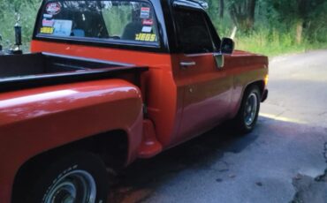Chevrolet-Other-Pickups-1978-Standard-Cab-Pickup-8