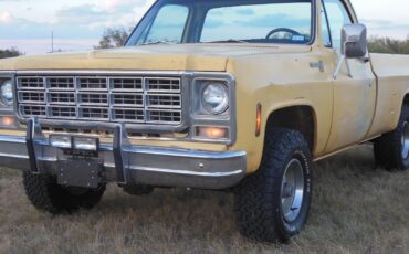 Chevrolet-Other-Pickups-1979-1