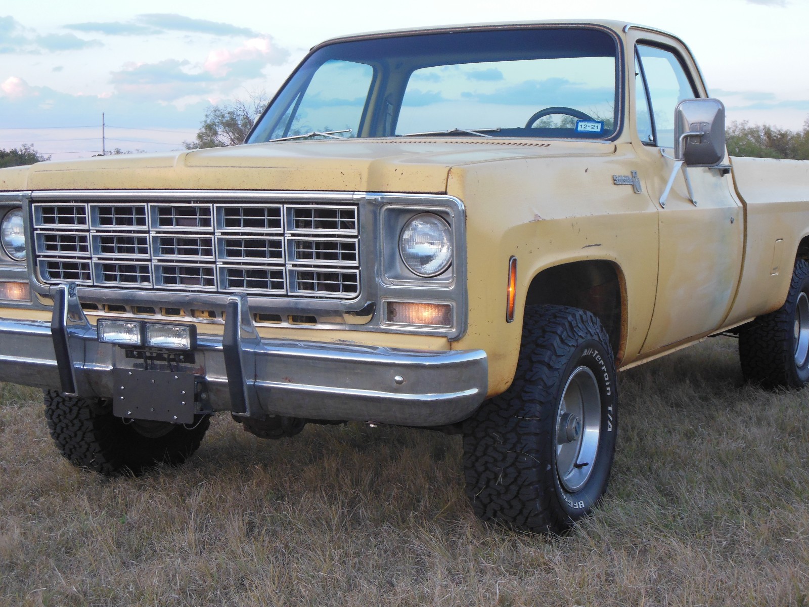 Chevrolet-Other-Pickups-1979-1
