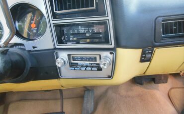 Chevrolet-Other-Pickups-1979-10