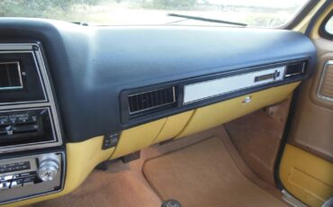 Chevrolet-Other-Pickups-1979-11