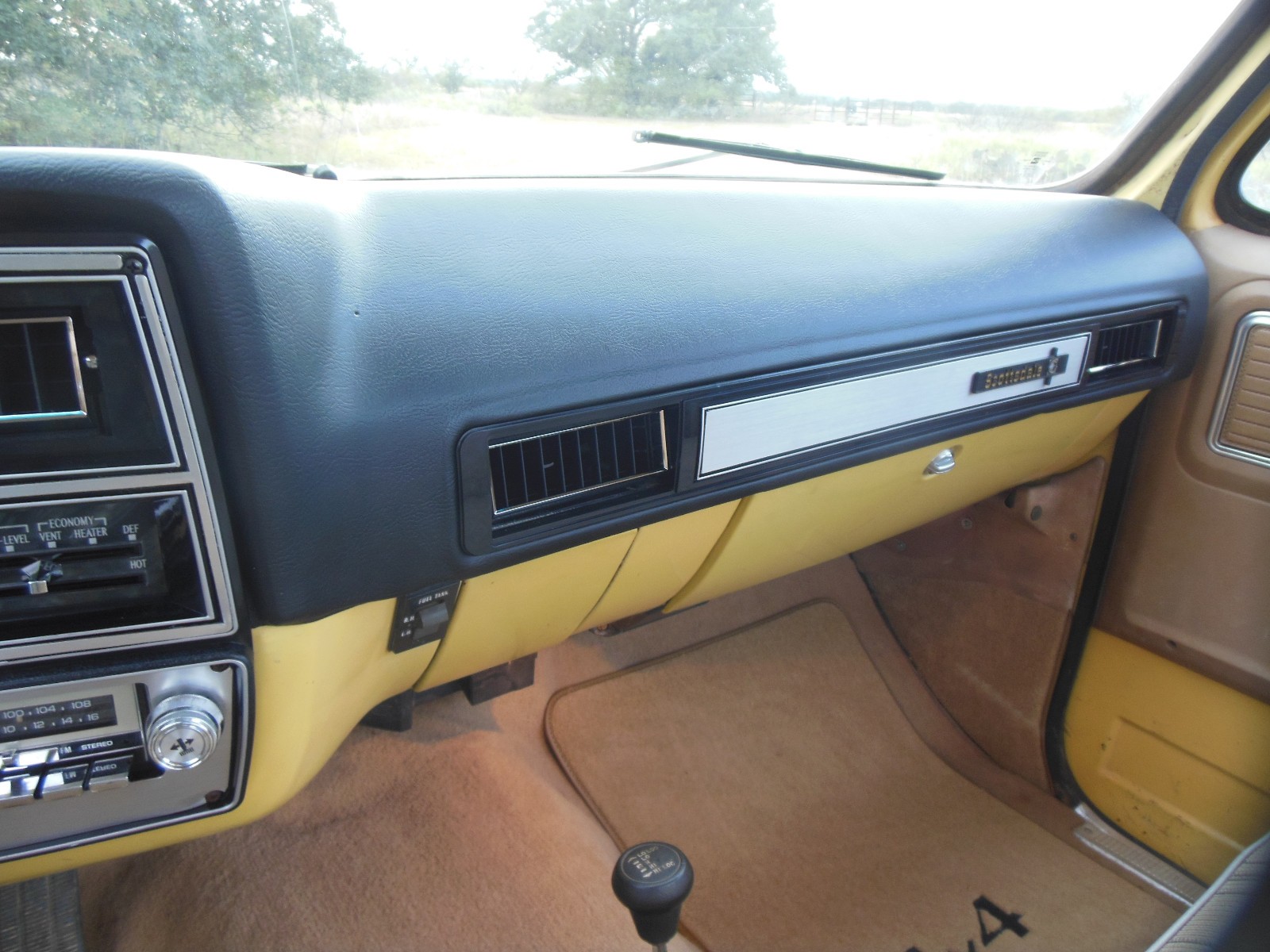 Chevrolet-Other-Pickups-1979-11