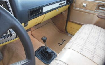 Chevrolet-Other-Pickups-1979-12