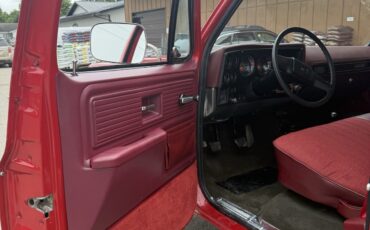 Chevrolet-Other-Pickups-1979-12