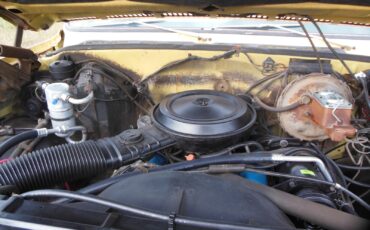Chevrolet-Other-Pickups-1979-13