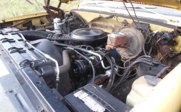 Chevrolet-Other-Pickups-1979-14