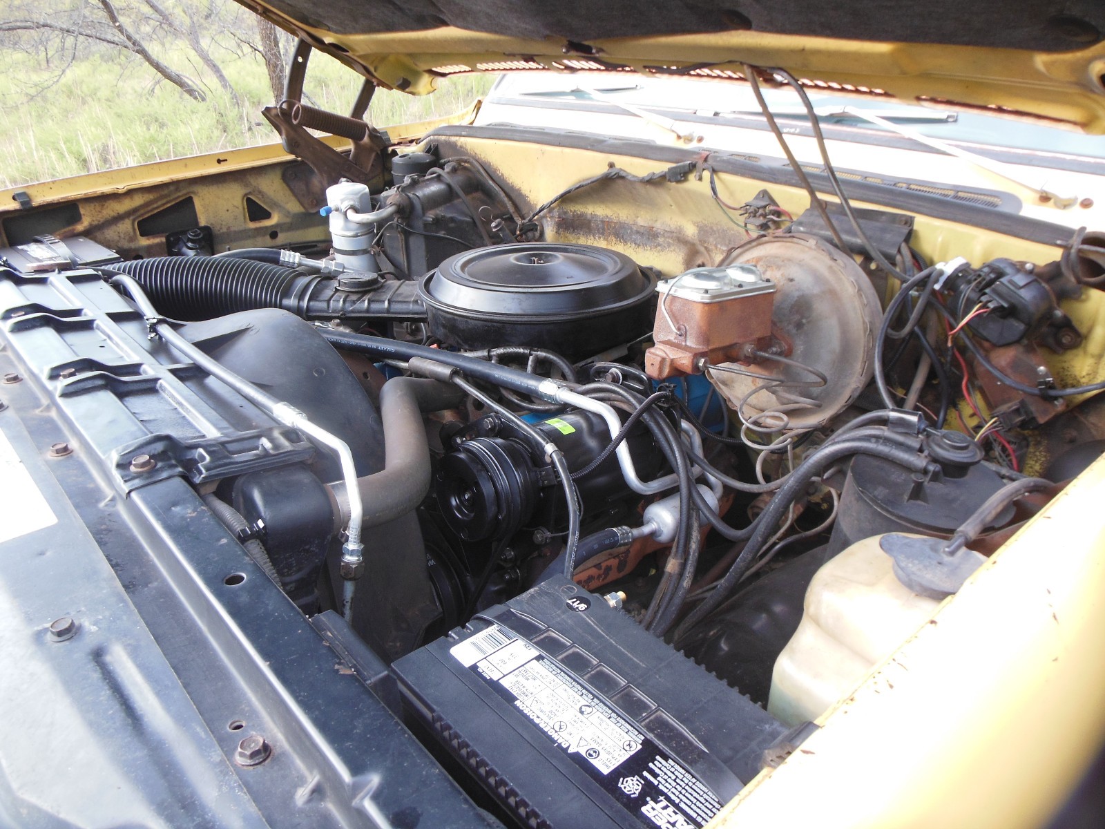 Chevrolet-Other-Pickups-1979-14