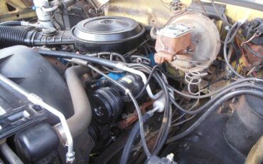 Chevrolet-Other-Pickups-1979-17