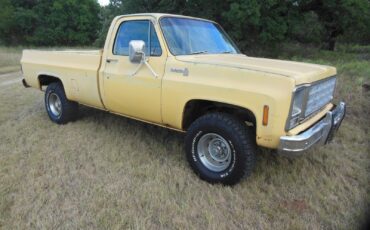 Chevrolet-Other-Pickups-1979-2