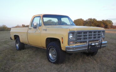 Chevrolet-Other-Pickups-1979-20