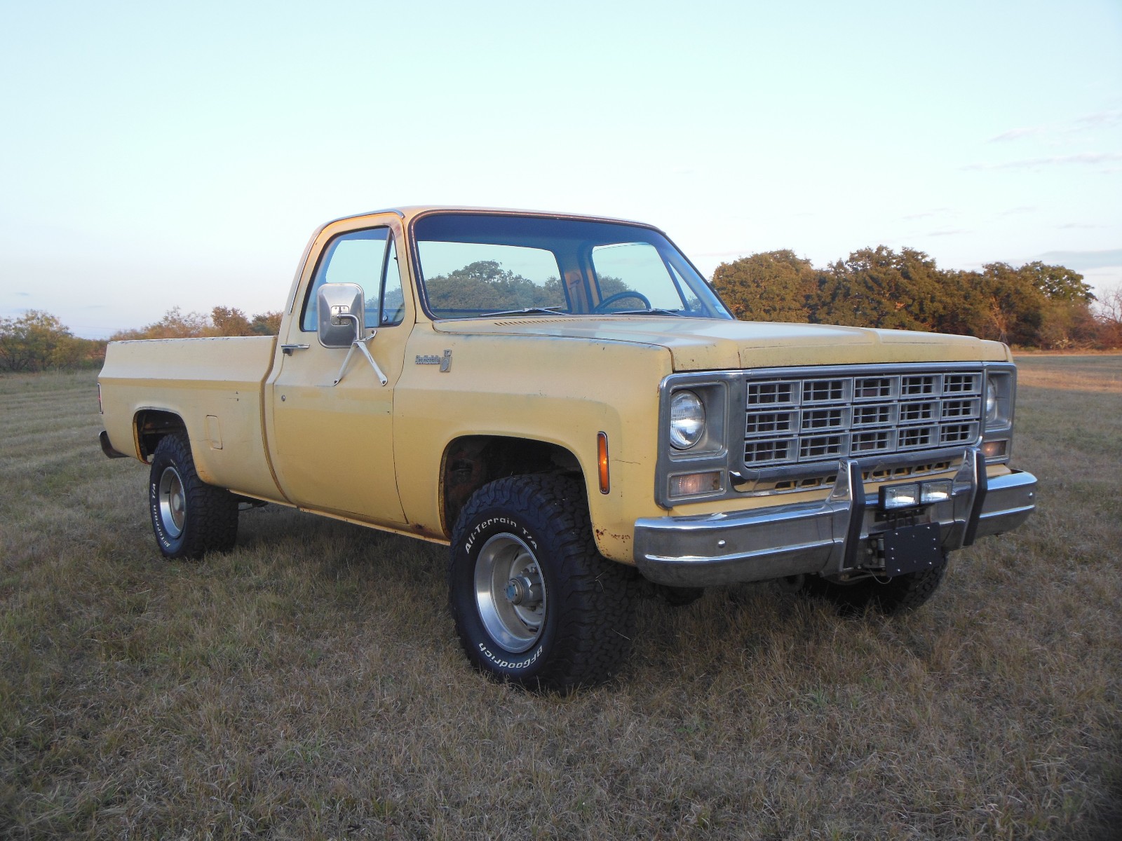 Chevrolet-Other-Pickups-1979-20