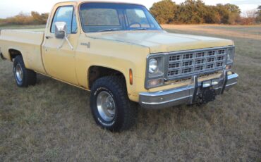 Chevrolet-Other-Pickups-1979-21