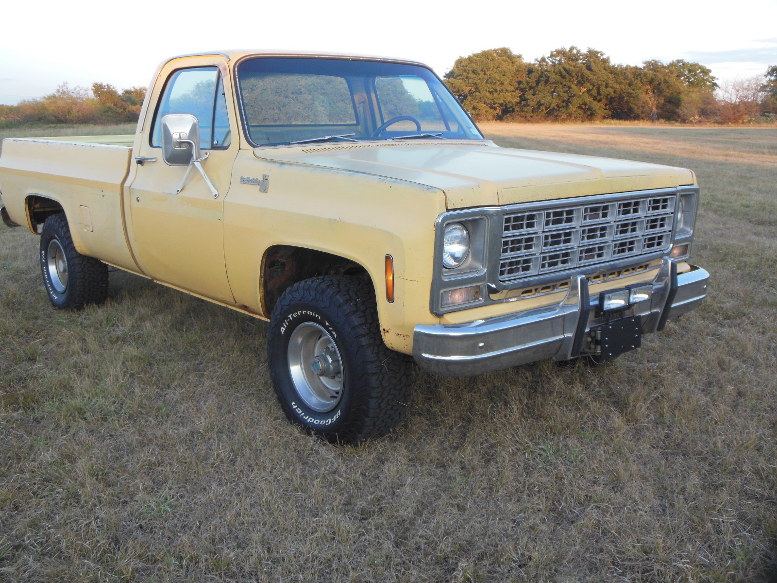 Chevrolet-Other-Pickups-1979-21