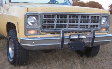 Chevrolet-Other-Pickups-1979-22