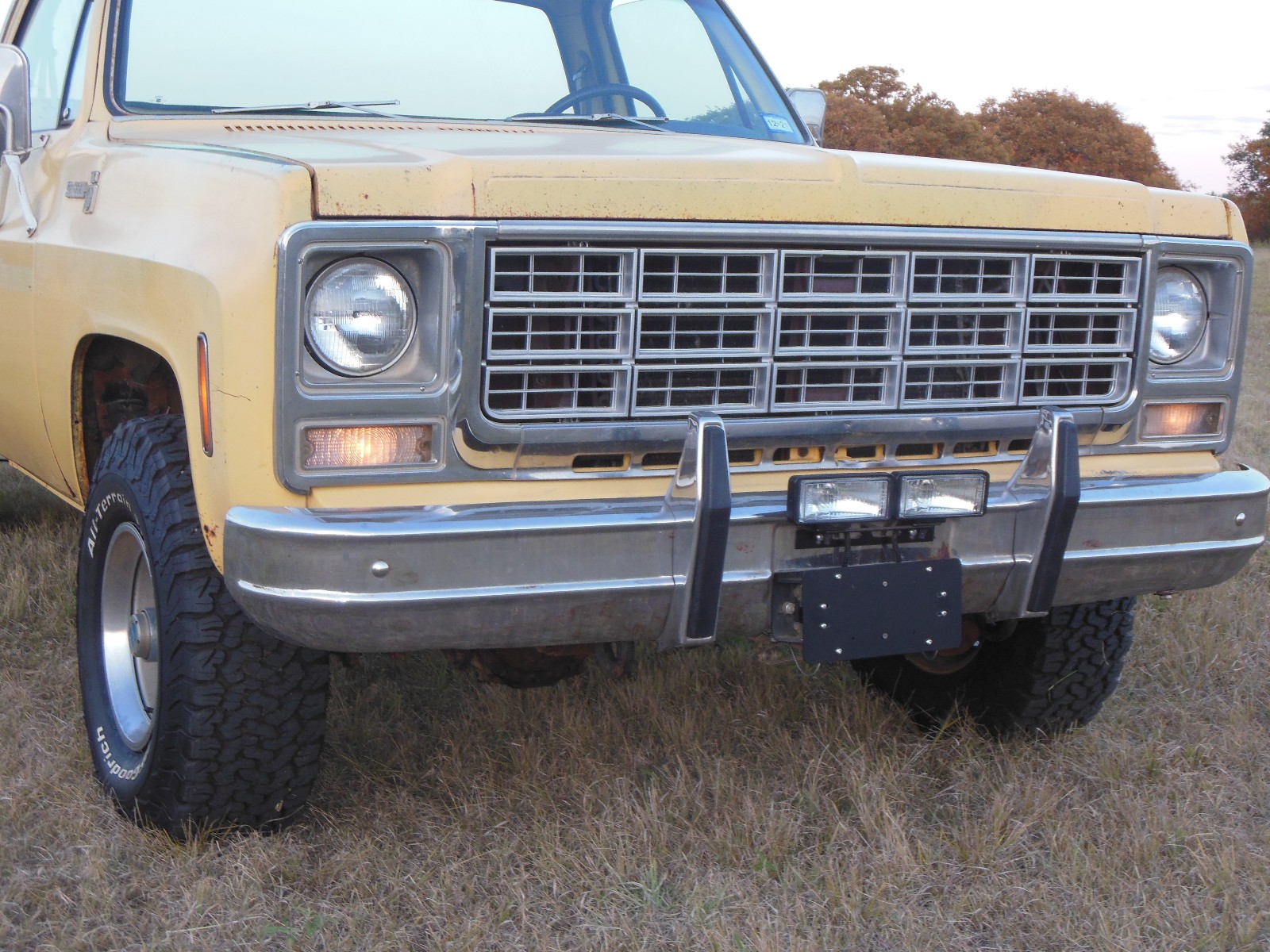Chevrolet-Other-Pickups-1979-22