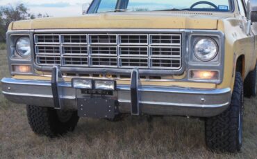 Chevrolet-Other-Pickups-1979