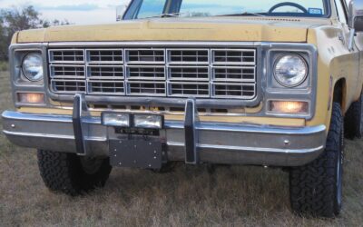 Chevrolet Other Pickups 1979