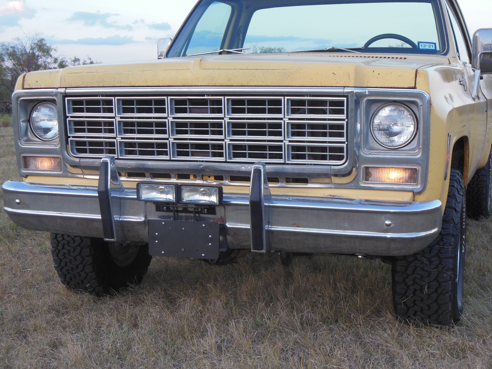 Chevrolet-Other-Pickups-1979