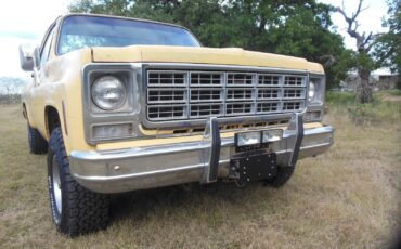 Chevrolet-Other-Pickups-1979-3