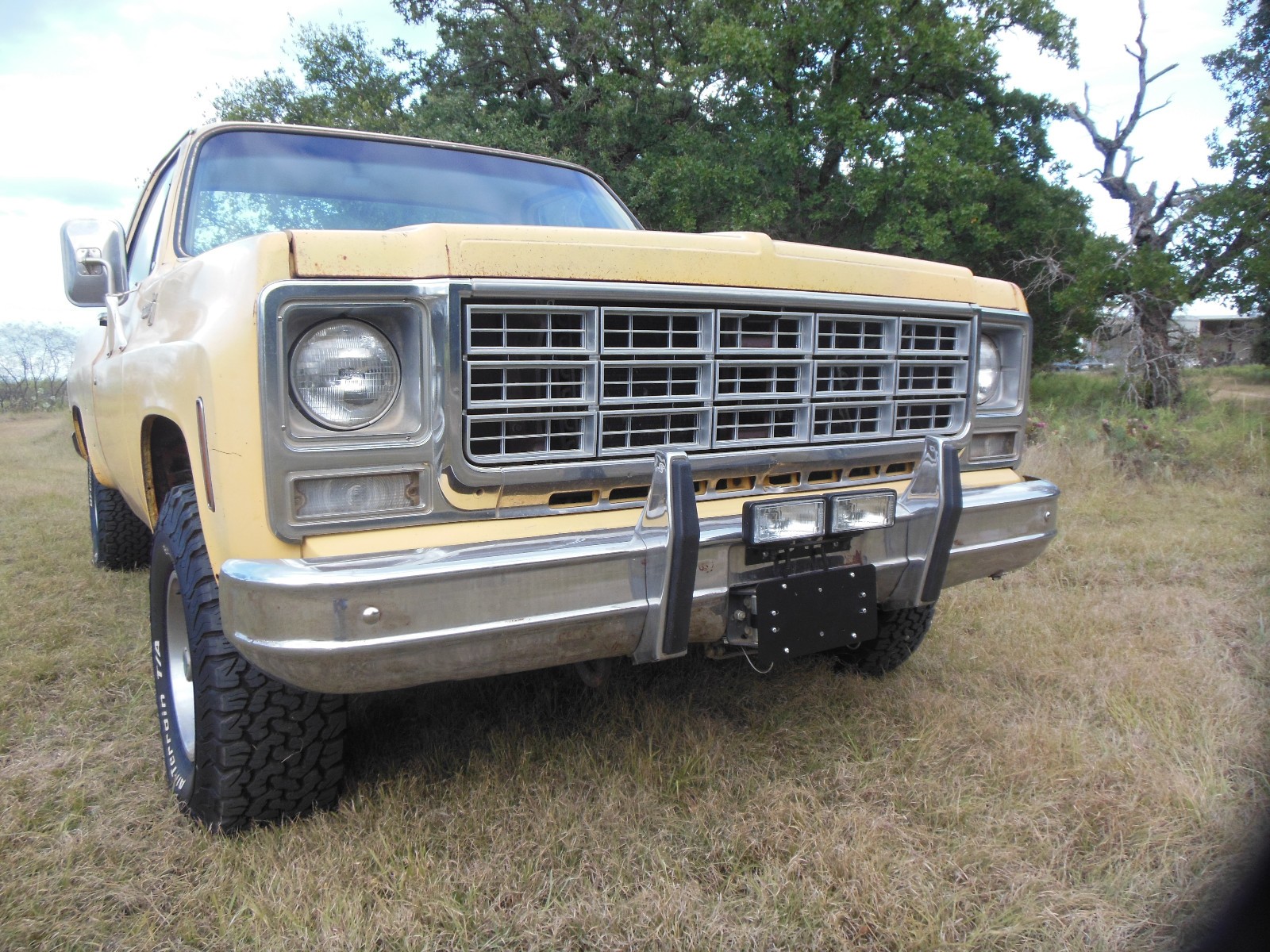 Chevrolet-Other-Pickups-1979-3