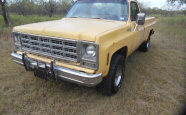Chevrolet-Other-Pickups-1979-4
