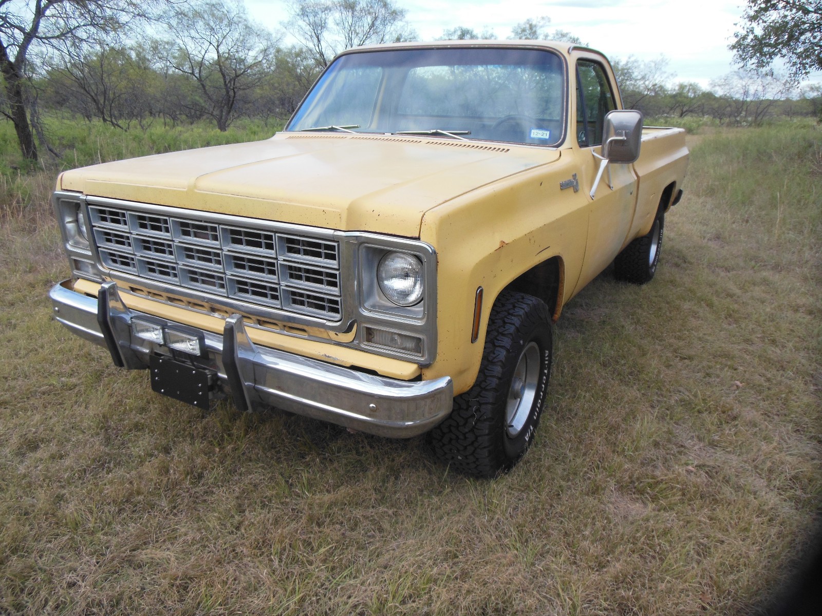 Chevrolet-Other-Pickups-1979-4