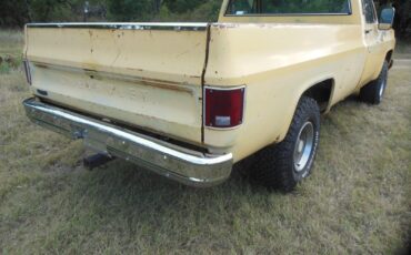 Chevrolet-Other-Pickups-1979-5