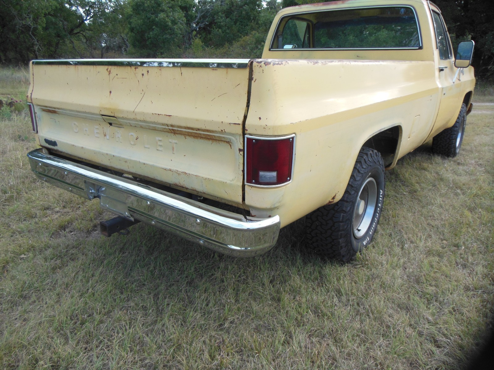 Chevrolet-Other-Pickups-1979-5