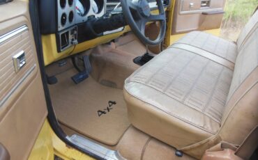 Chevrolet-Other-Pickups-1979-6