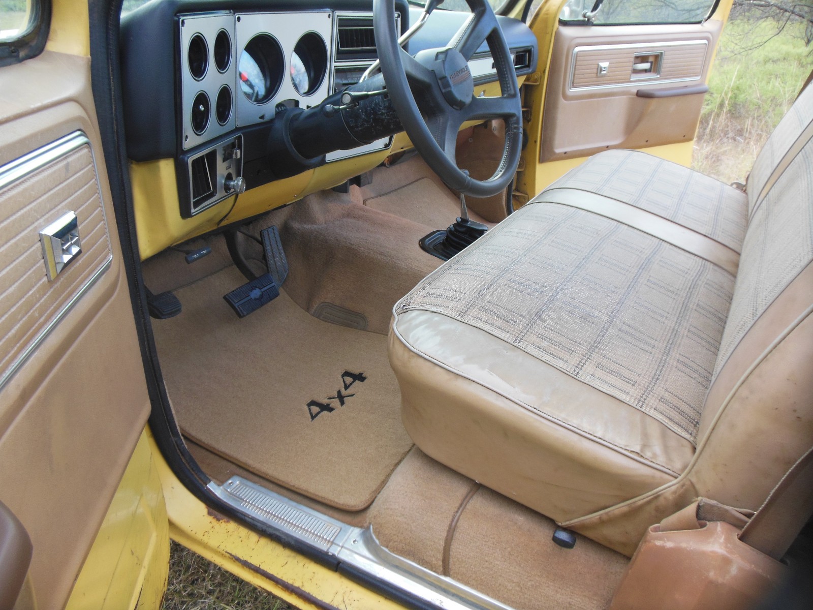 Chevrolet-Other-Pickups-1979-6