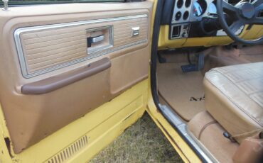 Chevrolet-Other-Pickups-1979-7