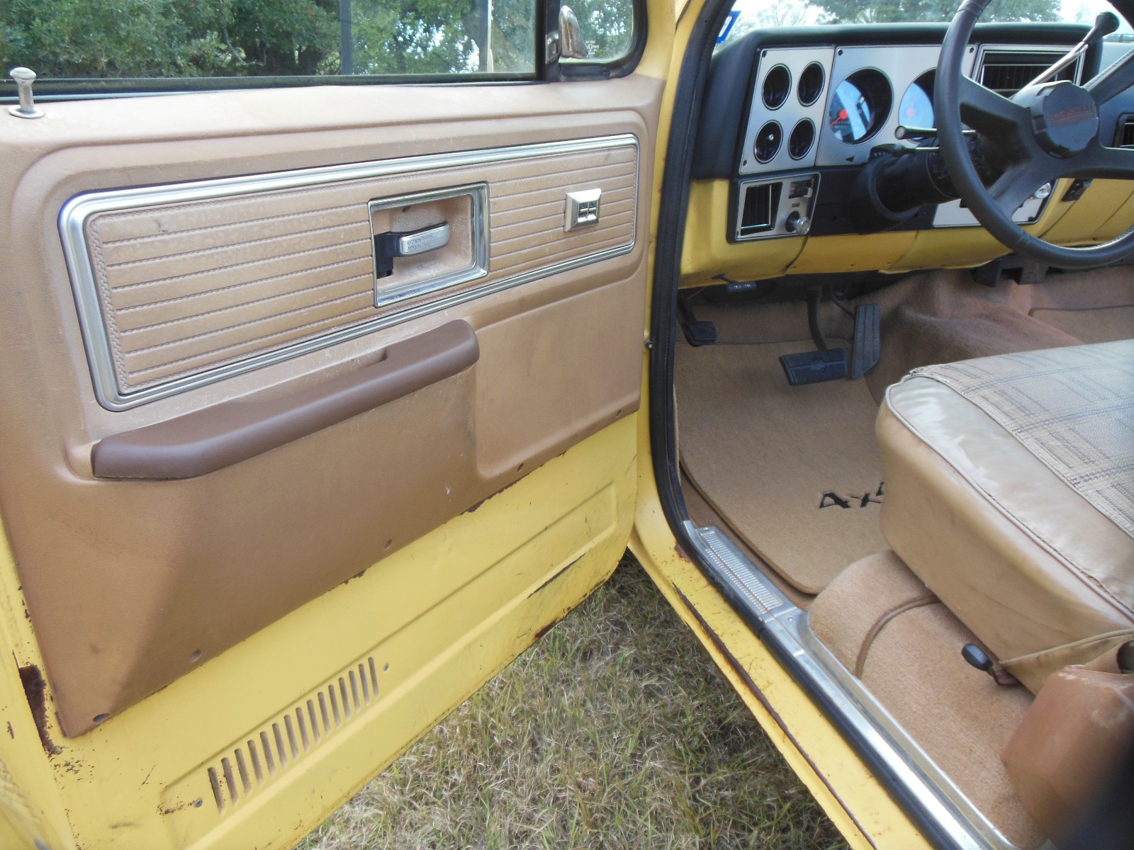 Chevrolet-Other-Pickups-1979-7